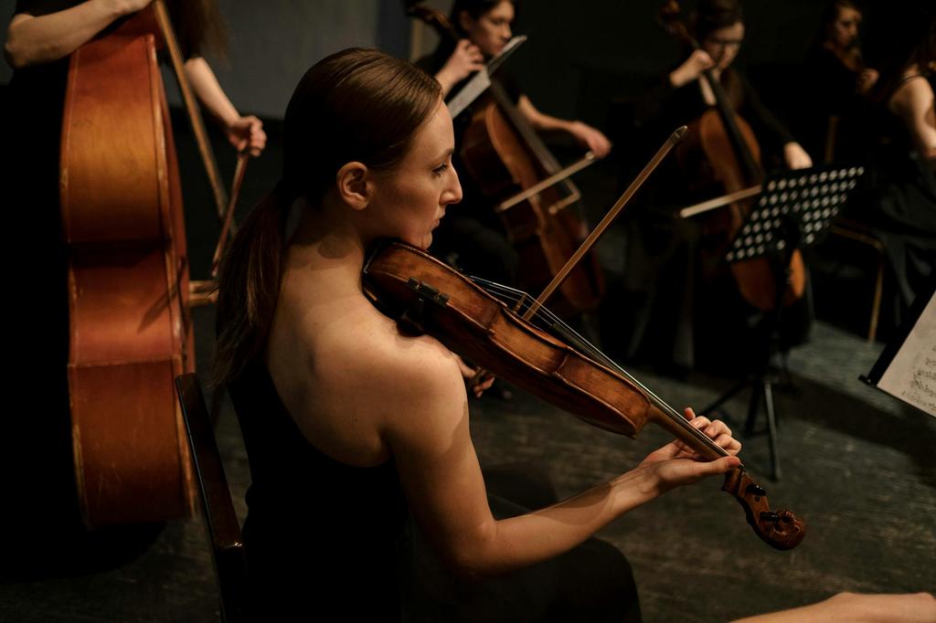 Violin performer on stage